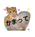 ちくわくんスタンプ②（個別スタンプ：16）