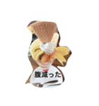 赤ちゃんなど（個別スタンプ：4）