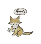 ハスキー柴のとびおさん（個別スタンプ：1）