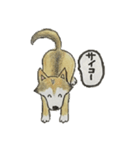 ハスキー柴のとびおさん（個別スタンプ：4）