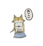 ハスキー柴のとびおさん（個別スタンプ：12）