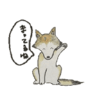 ハスキー柴のとびおさん（個別スタンプ：17）