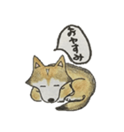ハスキー柴のとびおさん（個別スタンプ：20）