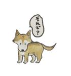 ハスキー柴のとびおさん（個別スタンプ：23）