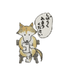 ハスキー柴のとびおさん（個別スタンプ：24）