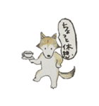 ハスキー柴のとびおさん（個別スタンプ：25）