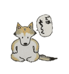 ハスキー柴のとびおさん（個別スタンプ：26）