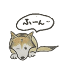 ハスキー柴のとびおさん（個別スタンプ：28）