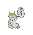ハスキー柴のとびおさん（個別スタンプ：30）