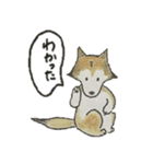 ハスキー柴のとびおさん（個別スタンプ：31）