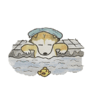 ハスキー柴のとびおさん（個別スタンプ：34）