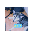王子連合（個別スタンプ：5）