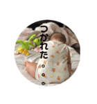 みらの日常（個別スタンプ：3）