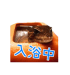 愛しの爬虫類達（個別スタンプ：4）