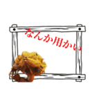 愛しの爬虫類達（個別スタンプ：5）