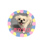 モコロ（個別スタンプ：16）