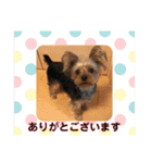 モコロ（個別スタンプ：17）