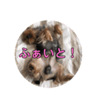 モコロ（個別スタンプ：23）