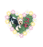 モコロ（個別スタンプ：30）