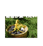 ○○○が食べたいシリーズ（個別スタンプ：23）