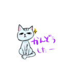 わるねこダニ02 JP（個別スタンプ：12）