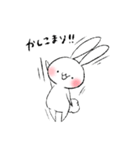 基本のしろいうさぎ（個別スタンプ：1）