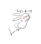 基本のしろいうさぎ（個別スタンプ：14）