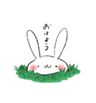基本のしろいうさぎ（個別スタンプ：16）