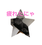 ぷぅアル（個別スタンプ：13）