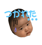 小春の日常スタンプ＋その仲間たち☆（個別スタンプ：6）