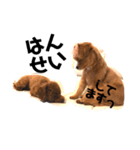 ろぺさく 2（個別スタンプ：12）