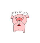 大阪に住みたいブタさん（個別スタンプ：5）
