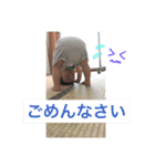 つむスタンプ.（個別スタンプ：18）