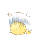 ぴよすけのすたんぷ（個別スタンプ：34）