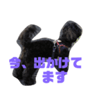 トイプードルとシーズーのMIX犬エマ 3（個別スタンプ：18）
