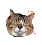 はらへったあ（個別スタンプ：2）