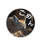 動物スタンプ〜夏の動物たち（個別スタンプ：3）