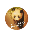 動物スタンプ〜夏の動物たち（個別スタンプ：11）