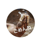 動物スタンプ〜夏の動物たち（個別スタンプ：14）