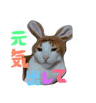 ハチワレ猫ネイマール（個別スタンプ：8）