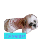 ココとななでご挨拶（個別スタンプ：6）