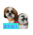 ココとななでご挨拶（個別スタンプ：7）