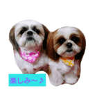 ココとななでご挨拶（個別スタンプ：8）