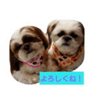 ココとななでご挨拶（個別スタンプ：9）