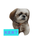 ココとななでご挨拶（個別スタンプ：10）