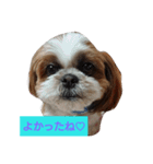 ココとななでご挨拶（個別スタンプ：14）