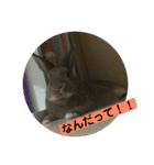 うさぎの茶太郎スタンプ（個別スタンプ：4）