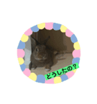 うさぎの茶太郎スタンプ（個別スタンプ：5）