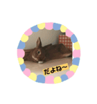 うさぎの茶太郎スタンプ（個別スタンプ：7）