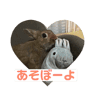 うさぎの茶太郎スタンプ（個別スタンプ：9）